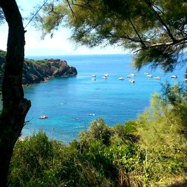 La Costa degli Etruschi Toscana - Le Corti di Montepitti