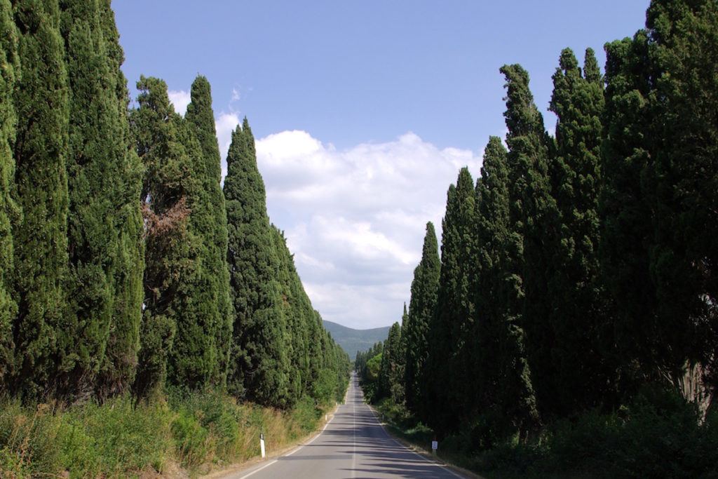 La Costa degli Etruschi Toscana - Le Corti di Montepitti