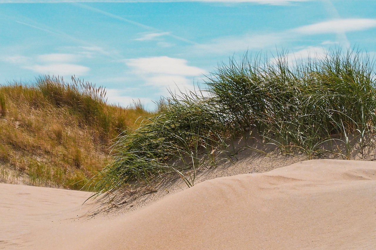 Offerte settembre toscana mare